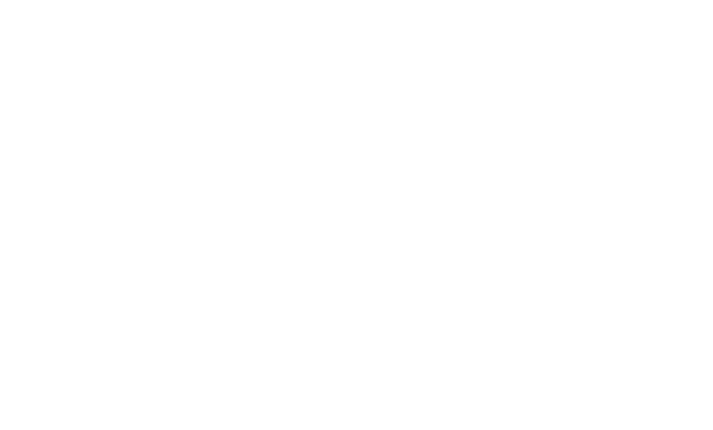 Boise Bros Detailing logo